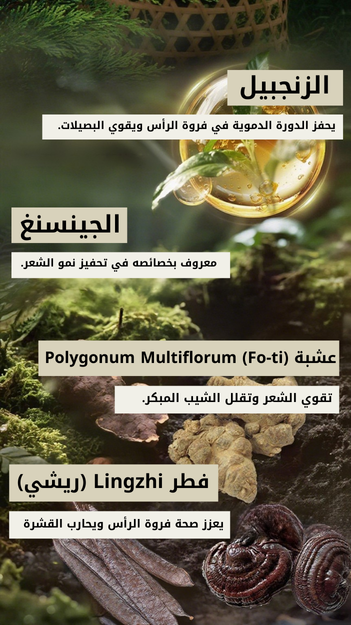 صورة المنتج